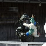 Le virus de la grippe aviaire a montré des signes de mutation à mesure qu'il se propageait parmi des vaches laitières et infectait des humains aux États-Unis (archives). KEYSTONE/GIAN EHRENZELLER